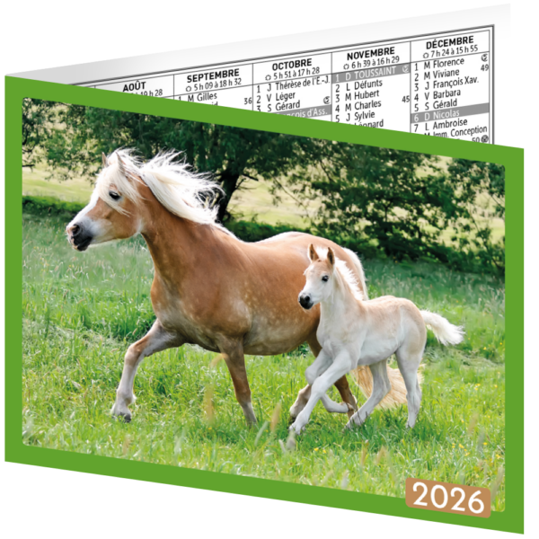 LOT DE 5 CALENDRIERS BIJOUX
