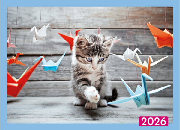 LOT DE 5 CALENDRIERS BIJOUX – Image 3