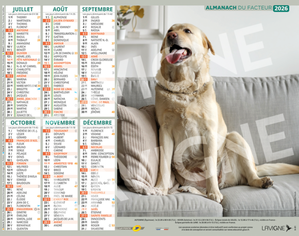 GRANDS CHIENS – Image 2