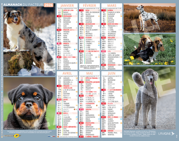 CHIENS/CHIOTS MULTI RACES