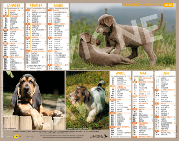CHIOTS DE CHASSE