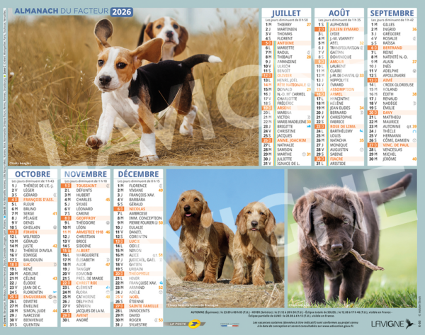 CHIOTS DE CHASSE – Image 2