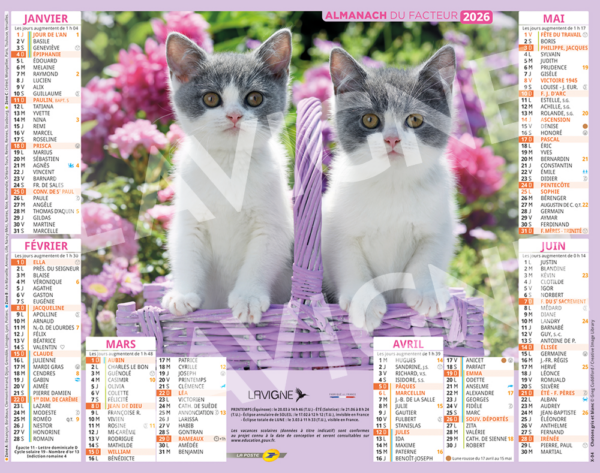 CHATONS