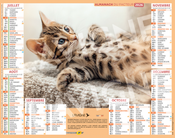 CHATONS – Image 2