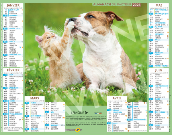CHATS ET CHIENS