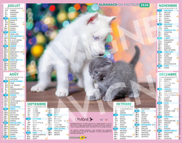 CHATS ET CHIENS – Image 2
