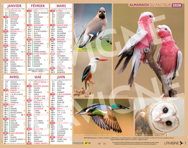 OISEAUX – Image 2