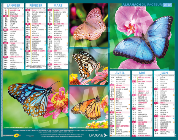 PAPILLONS