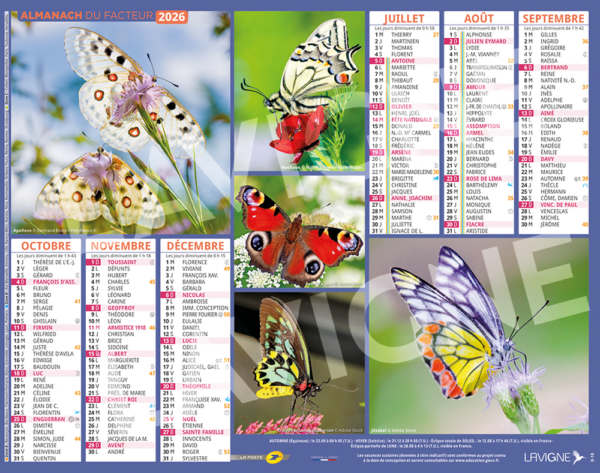 PAPILLONS – Image 2