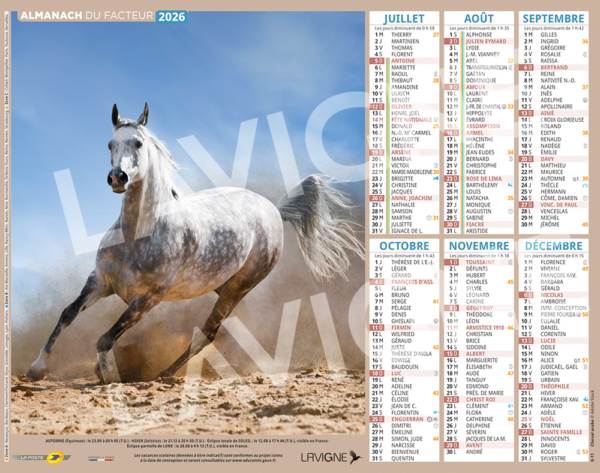 CHEVAUX – Image 2