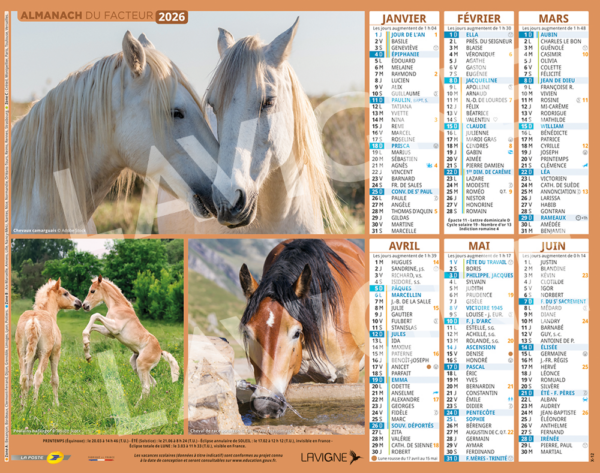 CHEVAUX MULTI PHOTOS