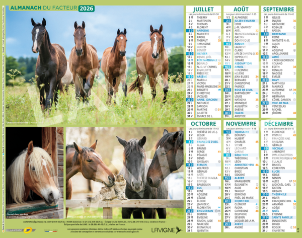 CHEVAUX MULTI PHOTOS – Image 2