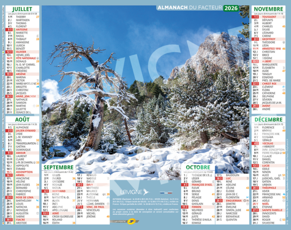 PYRENEES – Image 2