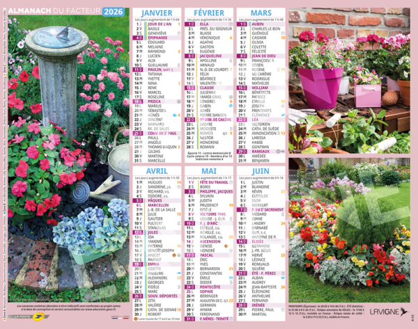 DECORS FLEURIS – Image 2